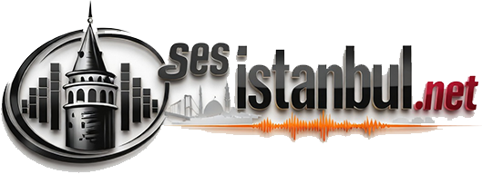 Ses İstanbul | Hoparlör Tamir Parçaları